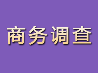 麒麟商务调查